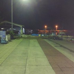 マゴチ＆エギング