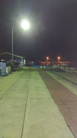 マゴチ＆エギング