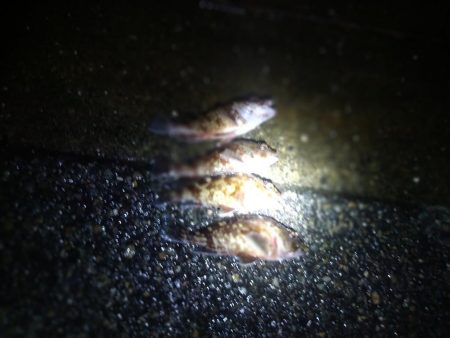 オンスタックルさんのイベントに参加