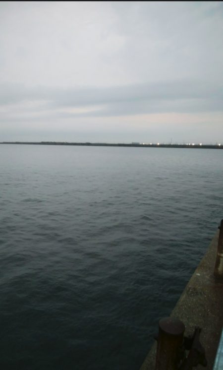 肉の日フィッシング