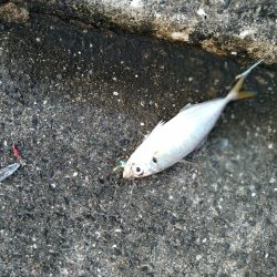 武庫川一文字で遊んできました☆