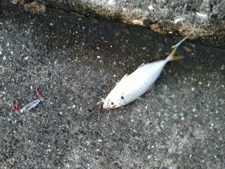 武庫川一文字で遊んできました☆