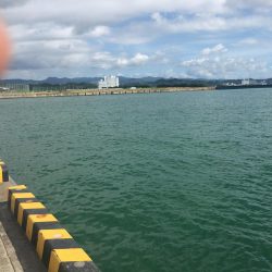 ツバス、メッキのみ