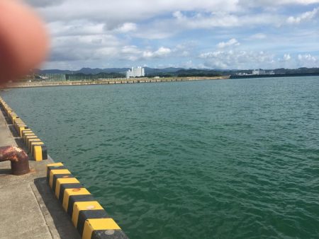 ツバス、メッキのみ