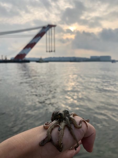 オクトッパッシング