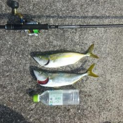 潮が少し動き出したタイミングで