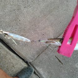 ライトショアジギング