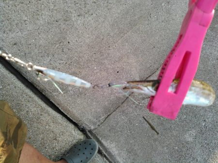 ライトショアジギング