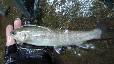 アタリがないのに!?