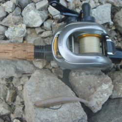 ノーシンカーリグ