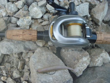 ノーシンカーリグ