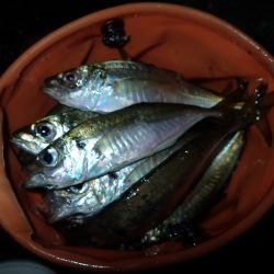 やっぱり下げ潮！