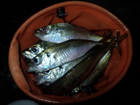 やっぱり下げ潮！