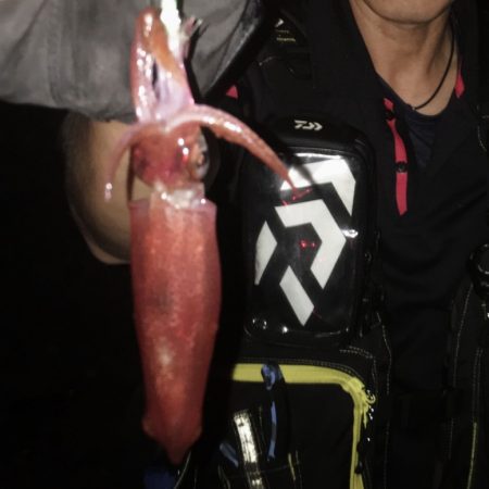 GUNNING-STYLE同行！〜明石ケン…