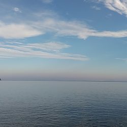 小っちゃい青物～アオリイカ