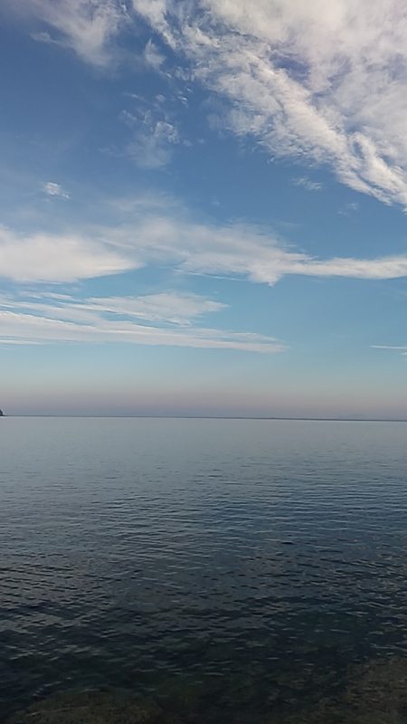 小っちゃい青物～アオリイカ