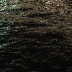 今期初ケンサキ