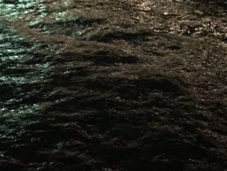 今期初ケンサキ