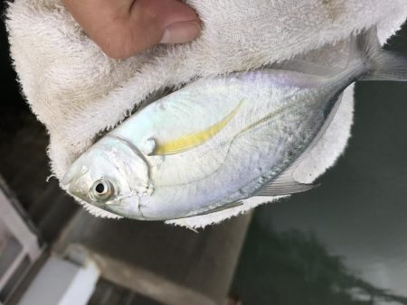 楽しいメッキ ！