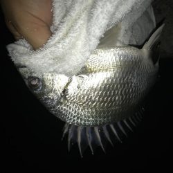 サイズアップメッキ！