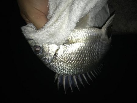 サイズアップメッキ！