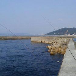 いざ、サーベル狩りへ