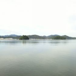 猛暑のロックフィッシュ