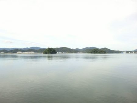 猛暑のロックフィッシュ