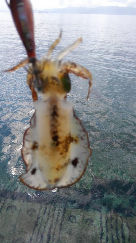 やっと楽しみな秋始まりです❗