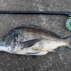 お盆前に　～さざなみ公園～