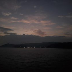 写真ぶれてすみません。