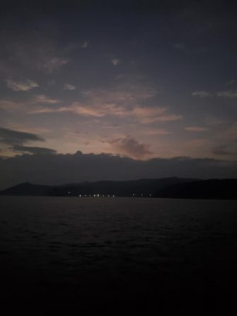 写真ぶれてすみません。