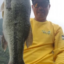 縦ストディープ