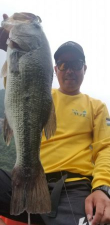 縦ストディープ