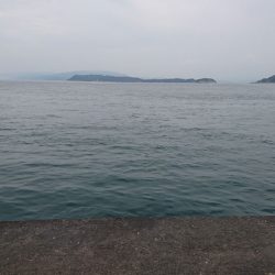 でっぷりウマズラ