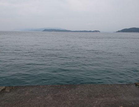 でっぷりウマズラ