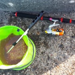 サビキでの投げ釣り！　但し、暑い！！　水分補給は必須ですね！