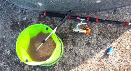 サビキでの投げ釣り！　但し、暑い！！　水分補給は必須ですね！