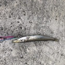 久しぶりの釣り！