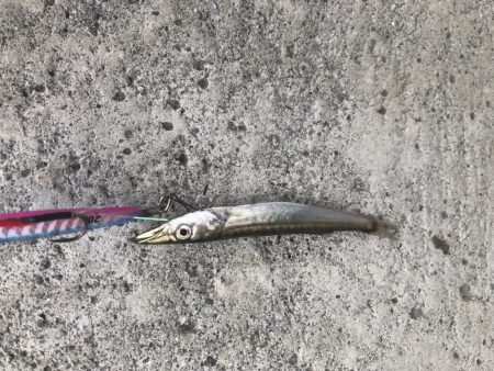 久しぶりの釣り！