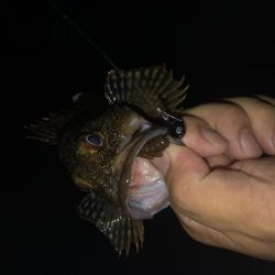 ナイスガッシー