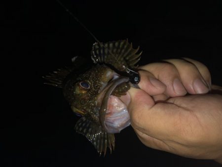 ナイスガッシー