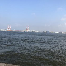 ツバスいない、タコまだいる