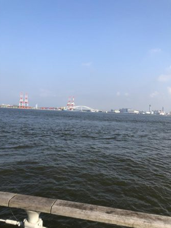 ツバスいない、タコまだいる