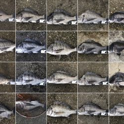 イチノ兄弟、釣果!