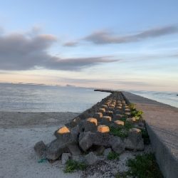 キスがたくさん