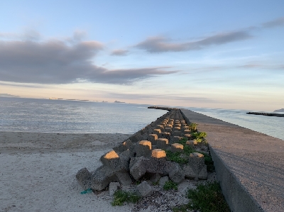 キスがたくさん