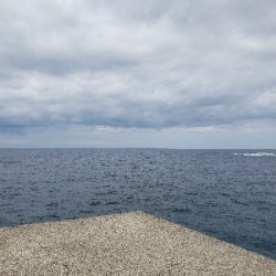 サイズはともかく目標達成！