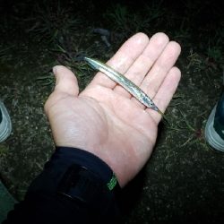 満月の下、夕涼みがてら釣行