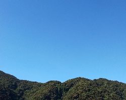 朝イチどっかーん(  ＾∀＾)